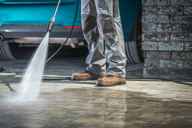 Best Spring Cleaning  in Orion, IL